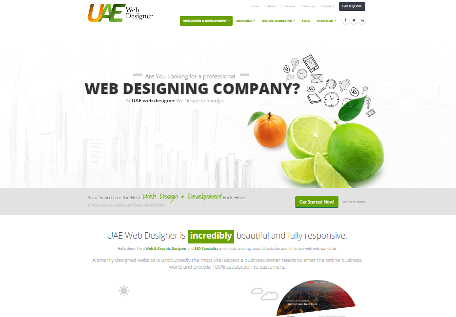 UAE Web Designer SEO work 4