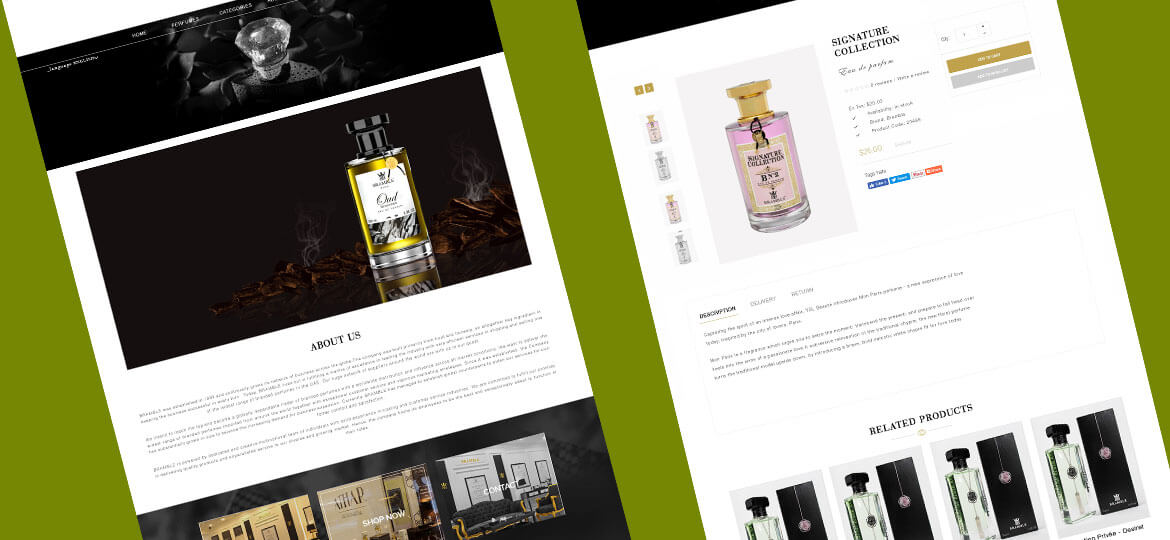 uae web designer portfolio