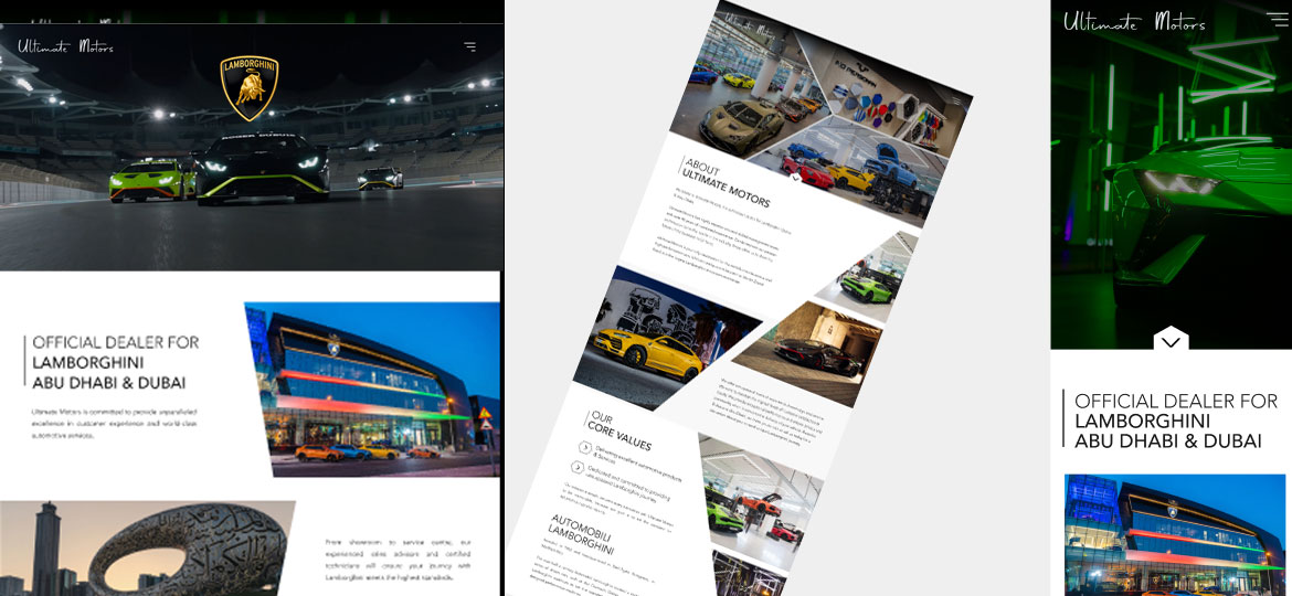 uae web designer portfolio